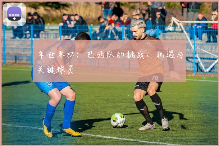 年世界杯:巴西队的挑战、机遇与关键球员