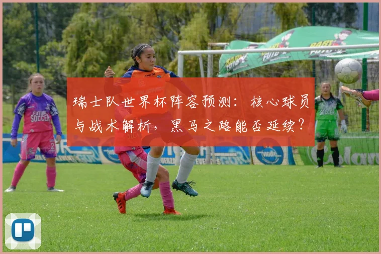 瑞士队世界杯阵容预测：核心球员与战术解析，黑马之路能否延续？