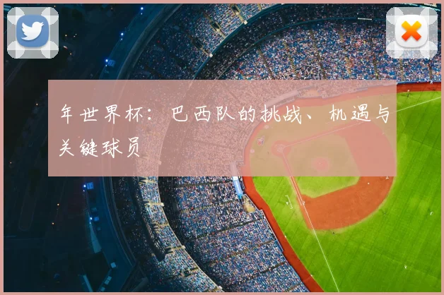 年世界杯:巴西队的挑战、机遇与关键球员